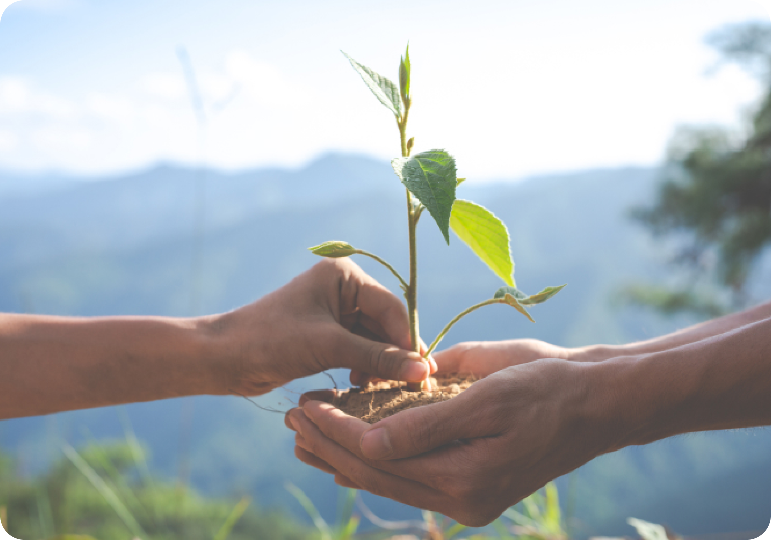 qyǧ��-ǧ�����ѻ�-ǧ�����ѻ������Դ��������