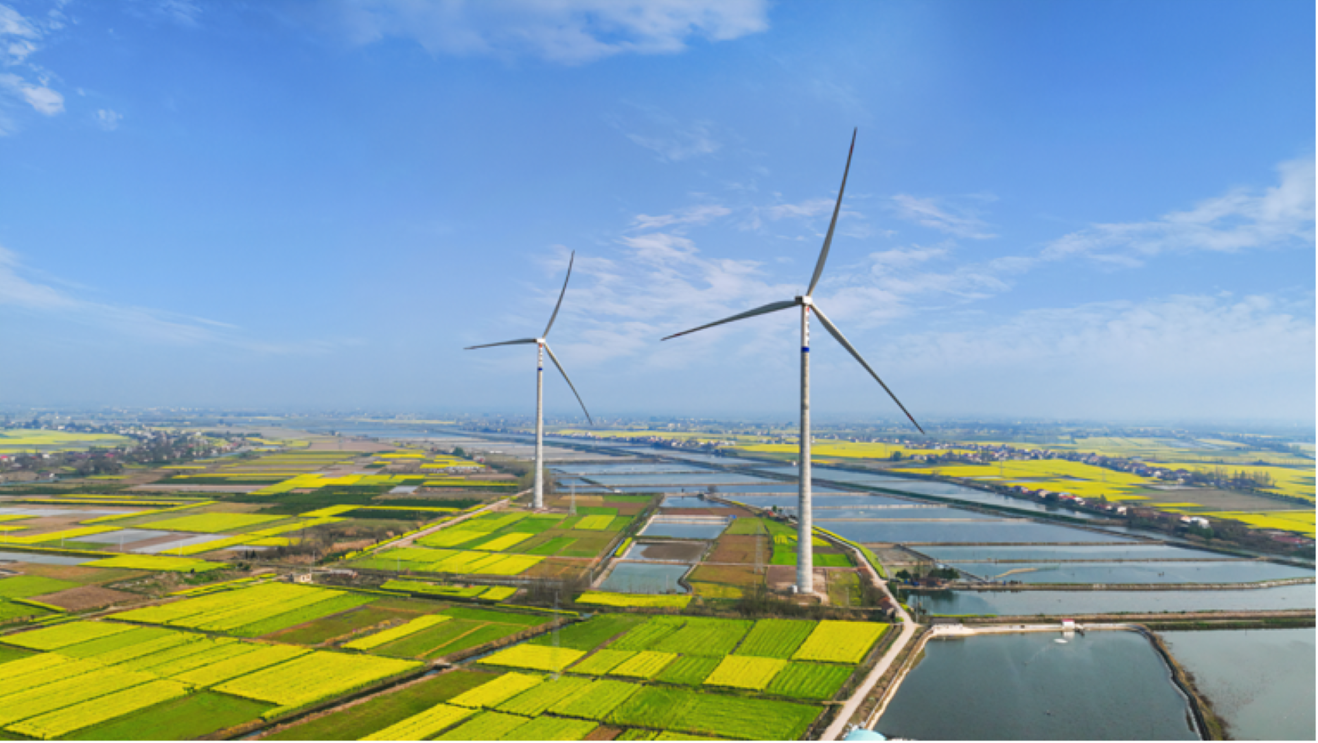 �����������ػ�