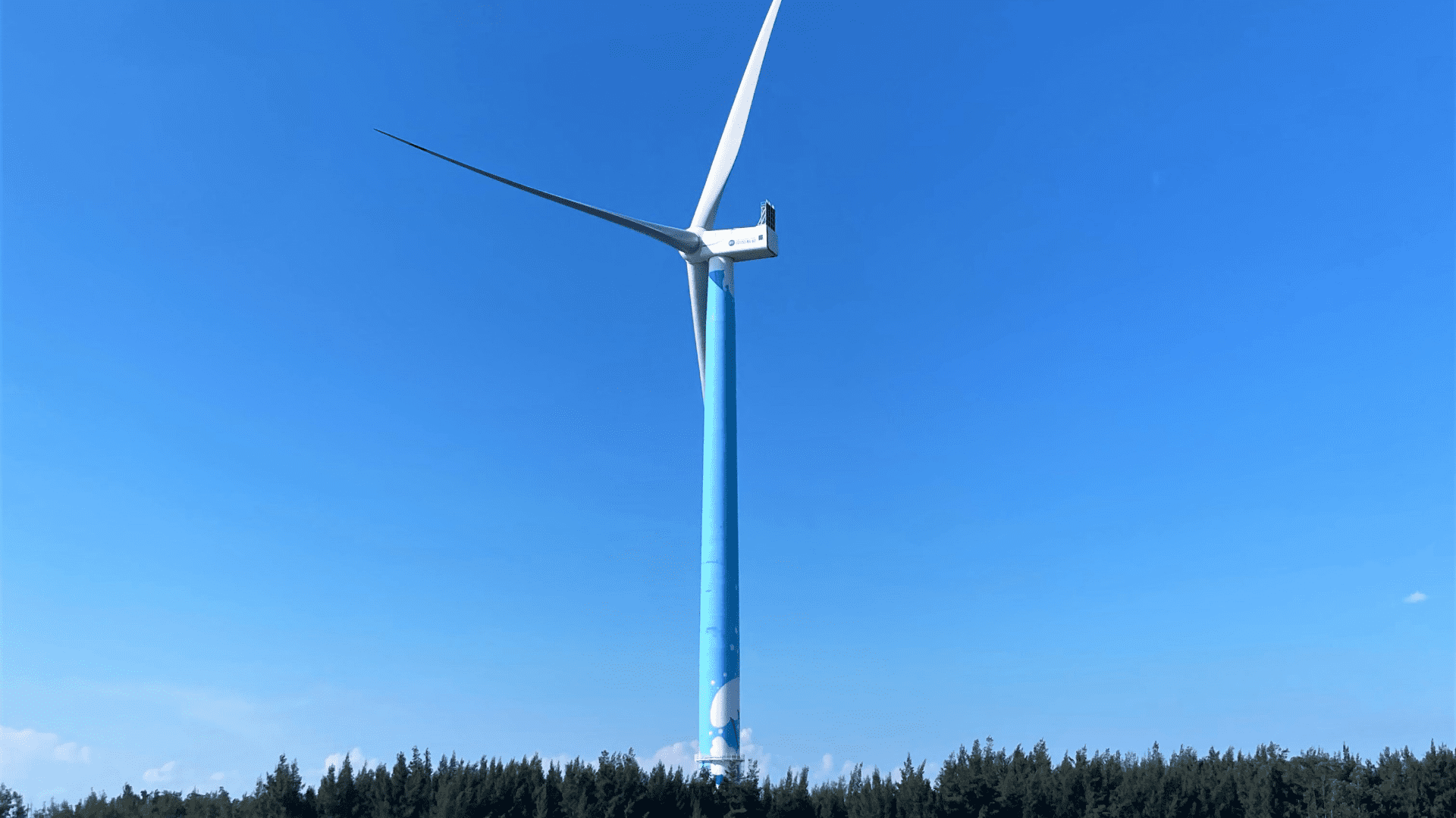 �������Ƿ�糡