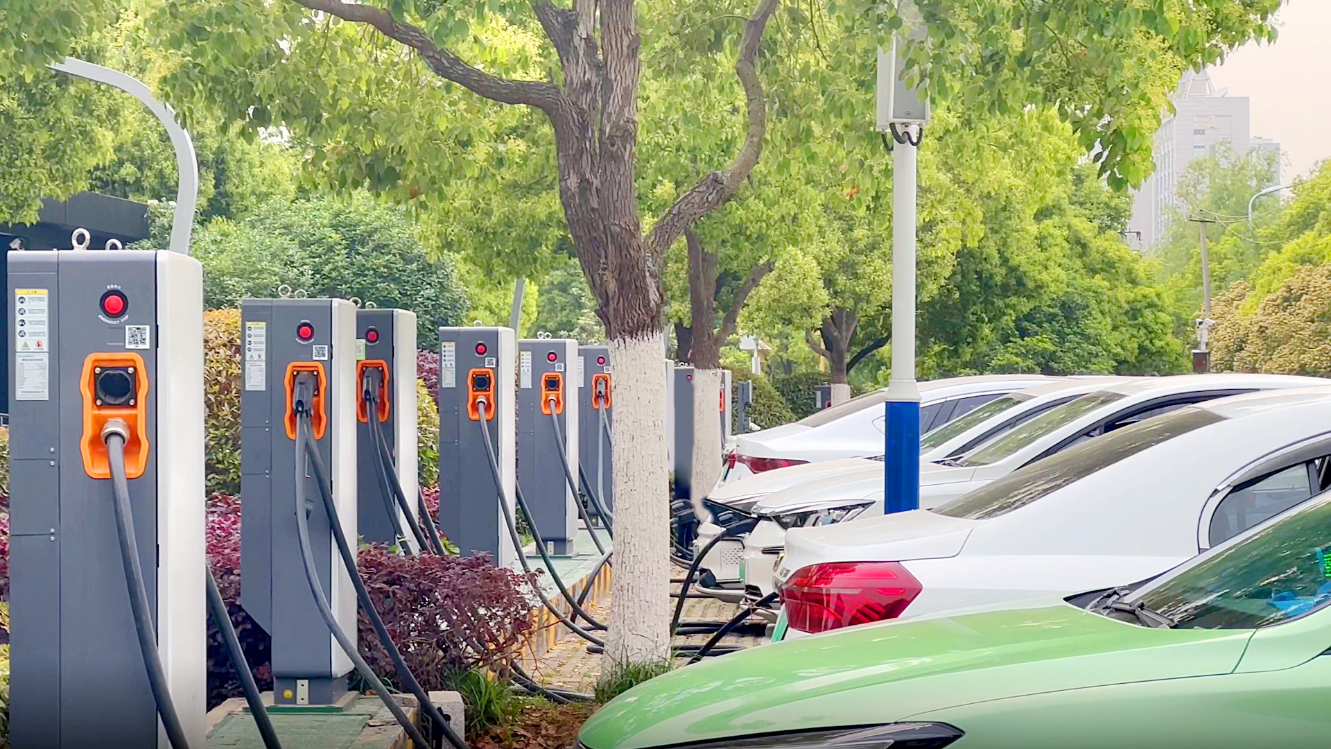 �Ϸʱ��������ӹ�԰���վ