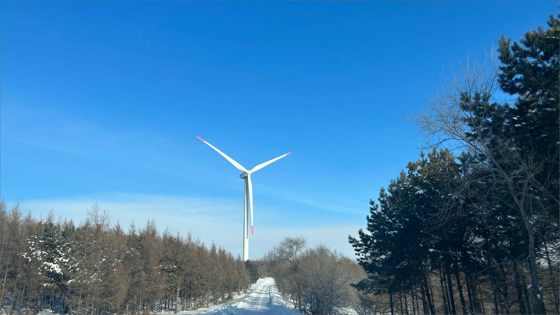 ������������۷�糡